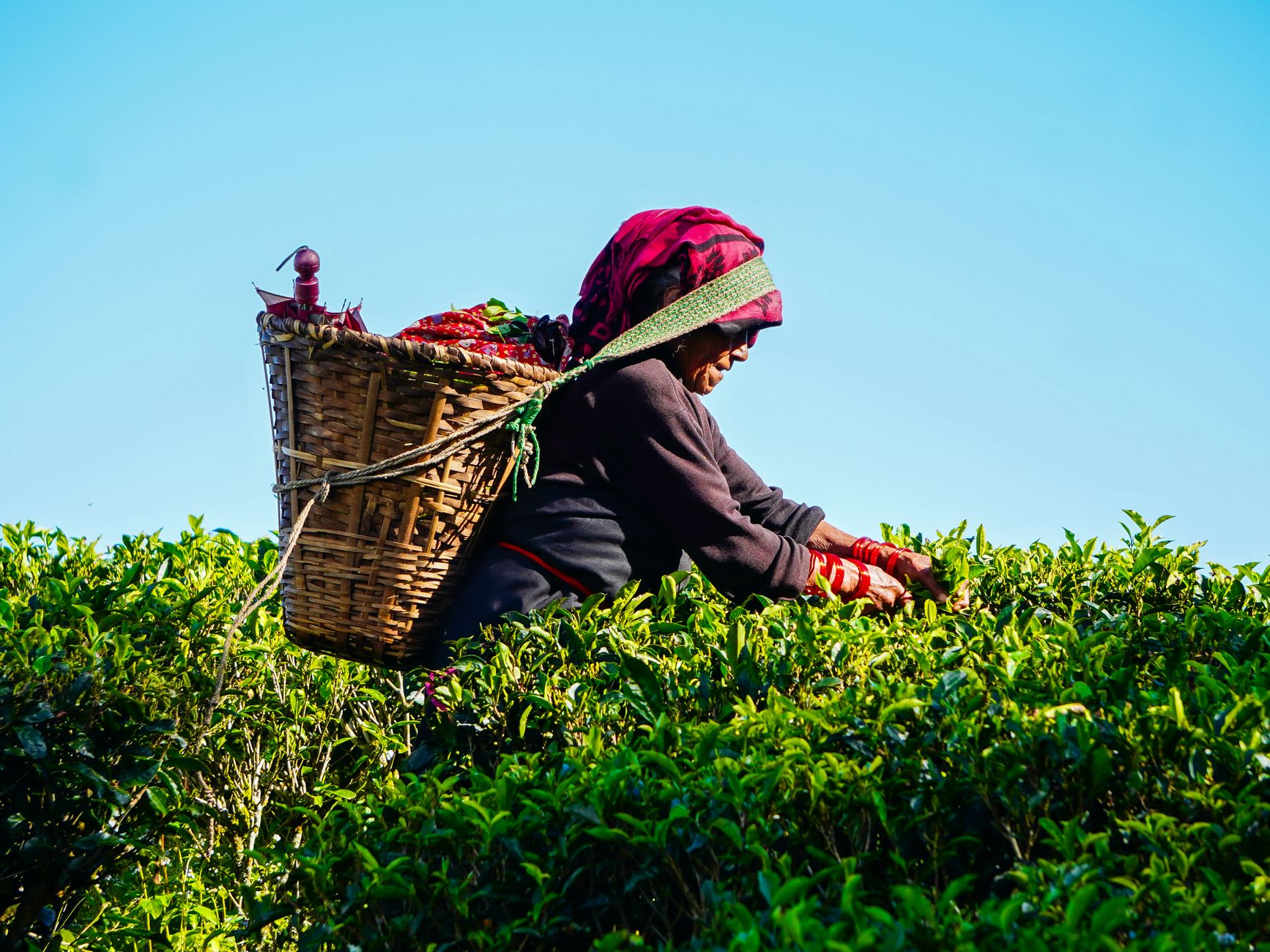 Darjeeling